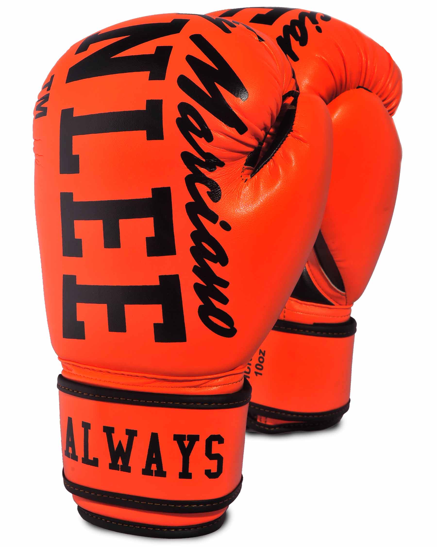 BenLee boxing gloves Chunky B