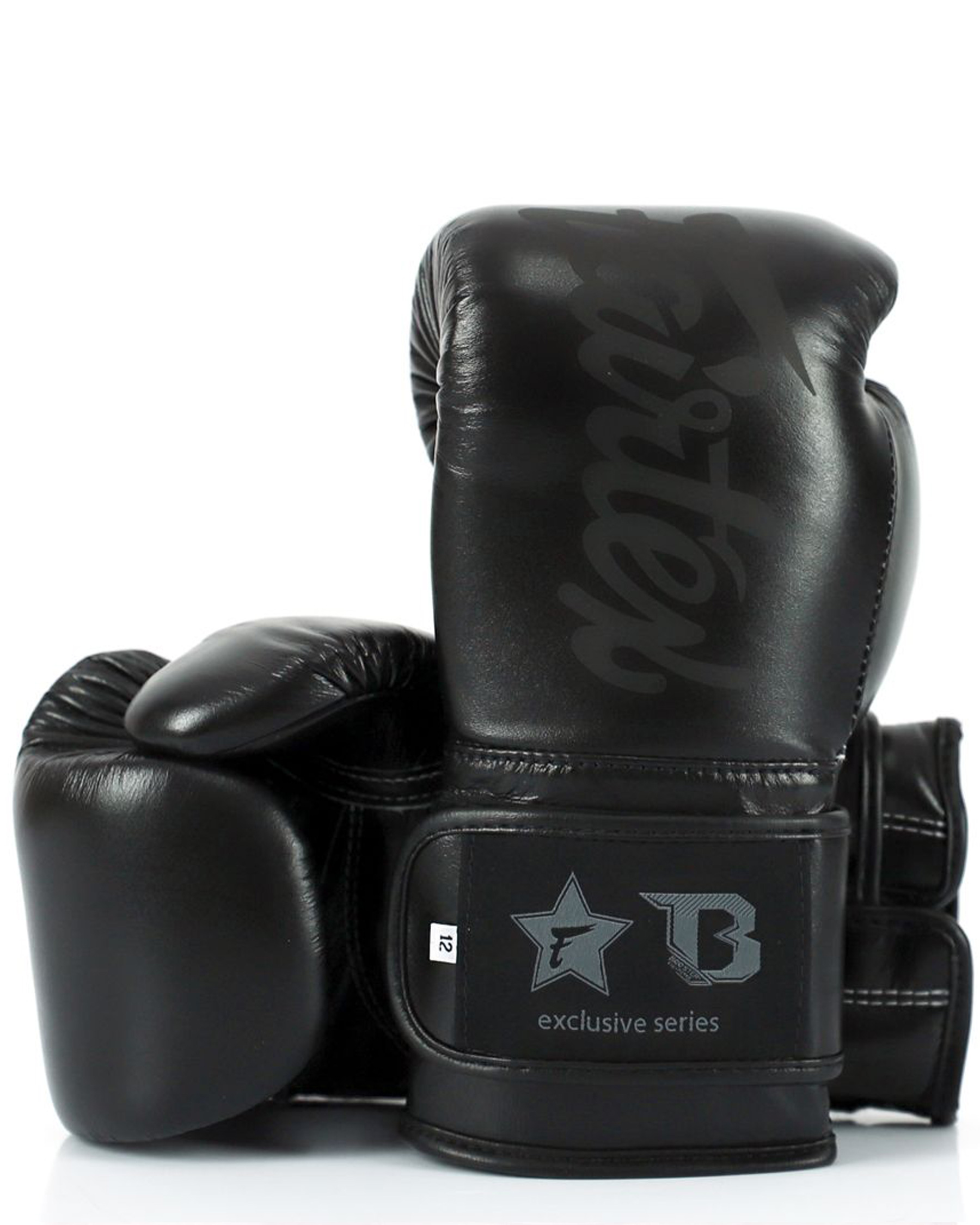 Fairtex X Booster Leder Boxshandschuhe in schwarz/schwarz